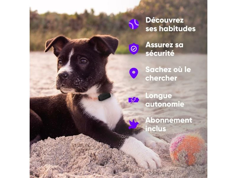 Invoxia Pet GPS-Tracker für Katzen und Hunde – Bild 11
