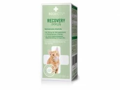 RECOACTIV Katzen-Nahrungsergänzung Recovery Immun, 1 x 280 ml