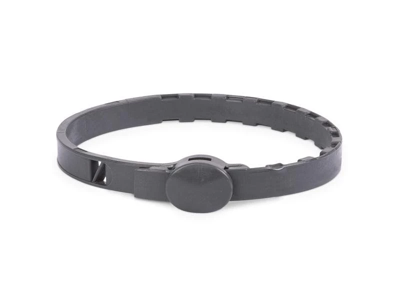 IN-FLUENCE Anti-Parasit-Halsband für Katzen, 35 cm – Bild 2