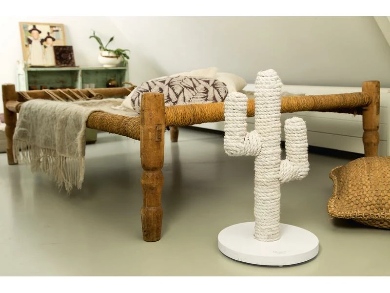 Designed by Lotte Kratzbaum Cactus, Weiss – Bild 2