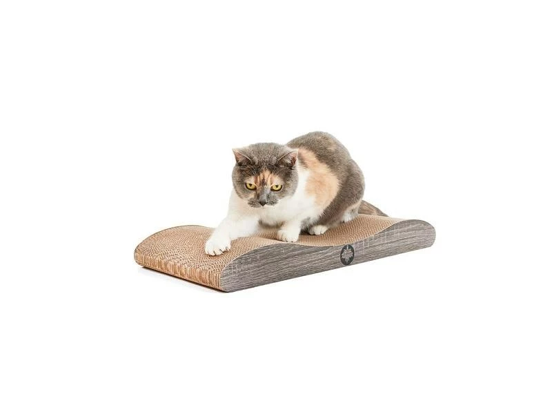 CanadianCat Kratzbrett Comet L – Bild 4