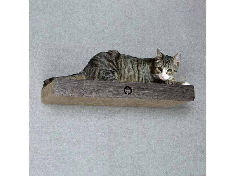 CanadianCat Kratzbrett Cloud