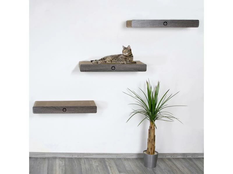 CanadianCat Kratzbrett Cloud – Bild 6