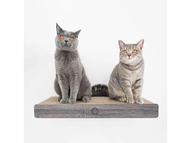 CanadianCat Kratzbrett Cloud – Bild 9