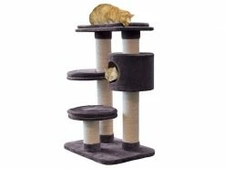 Azoona Kratzbaum Jakob, Grau