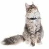 PetTracer GPS-Katzenhalsband Zusatzhalsband