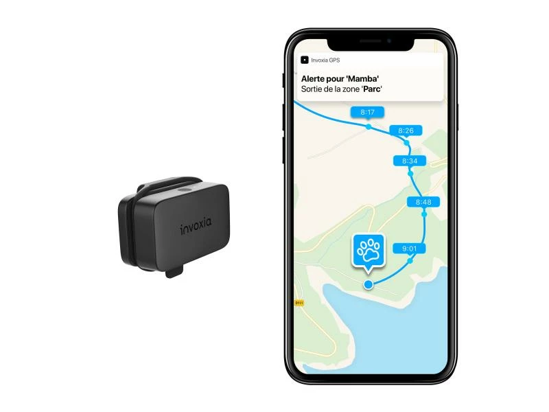 Invoxia Pet GPS-Tracker für Katzen und Hunde – Bild 15