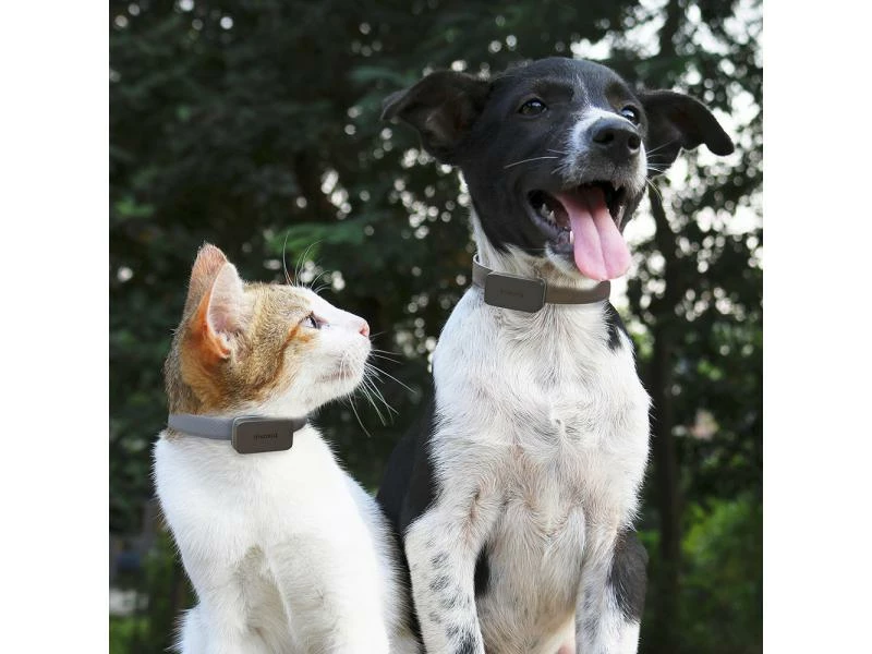 Invoxia Pet GPS-Tracker für Katzen und Hunde – Bild 5