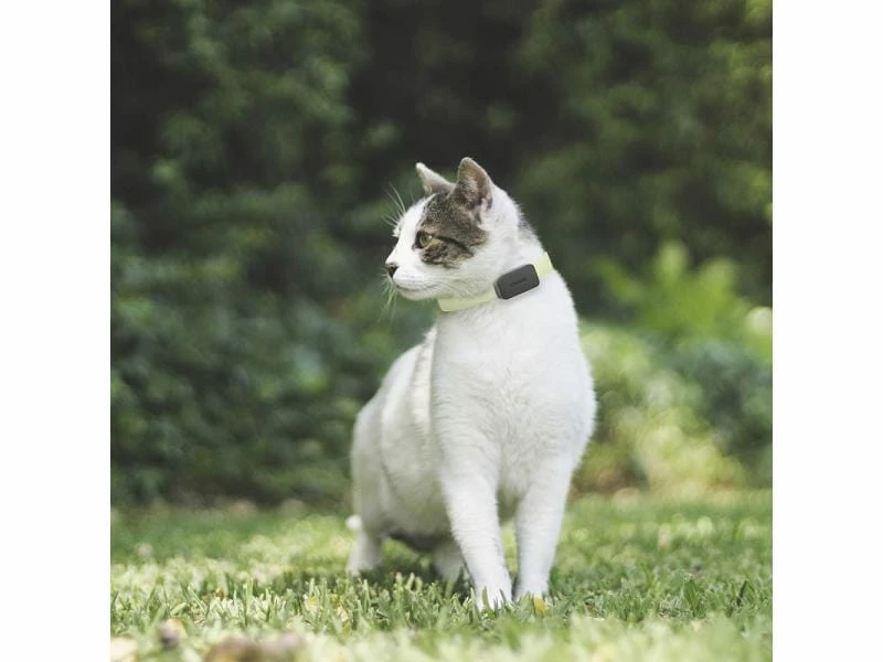 Invoxia Pet GPS-Tracker für Katzen und Hunde – Bild 7
